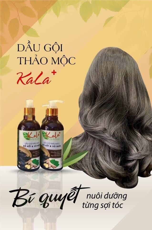 DẦU GỘI THẢO MỘC KALA 300ml GIẢM GÃY RỤNG TÓC VÀ KÍCH THÍCH MỌC TÓC | DẦU GỘI BƯỞI | DẦU GỘI BỒ KẾT famimark.com
