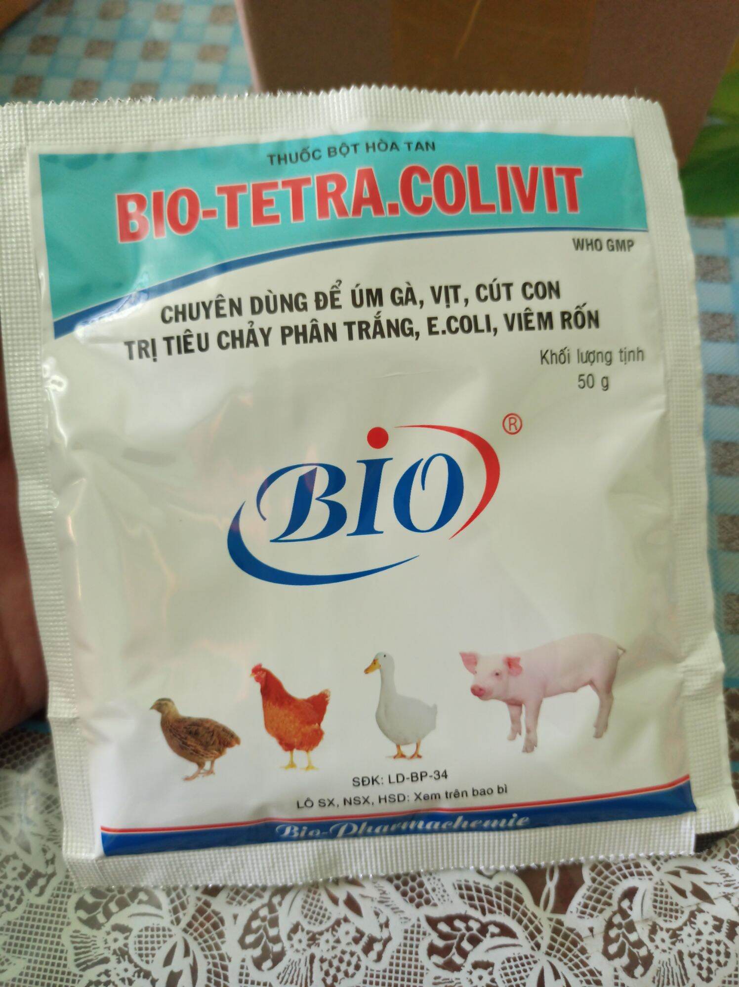 Úm Gà Vịt