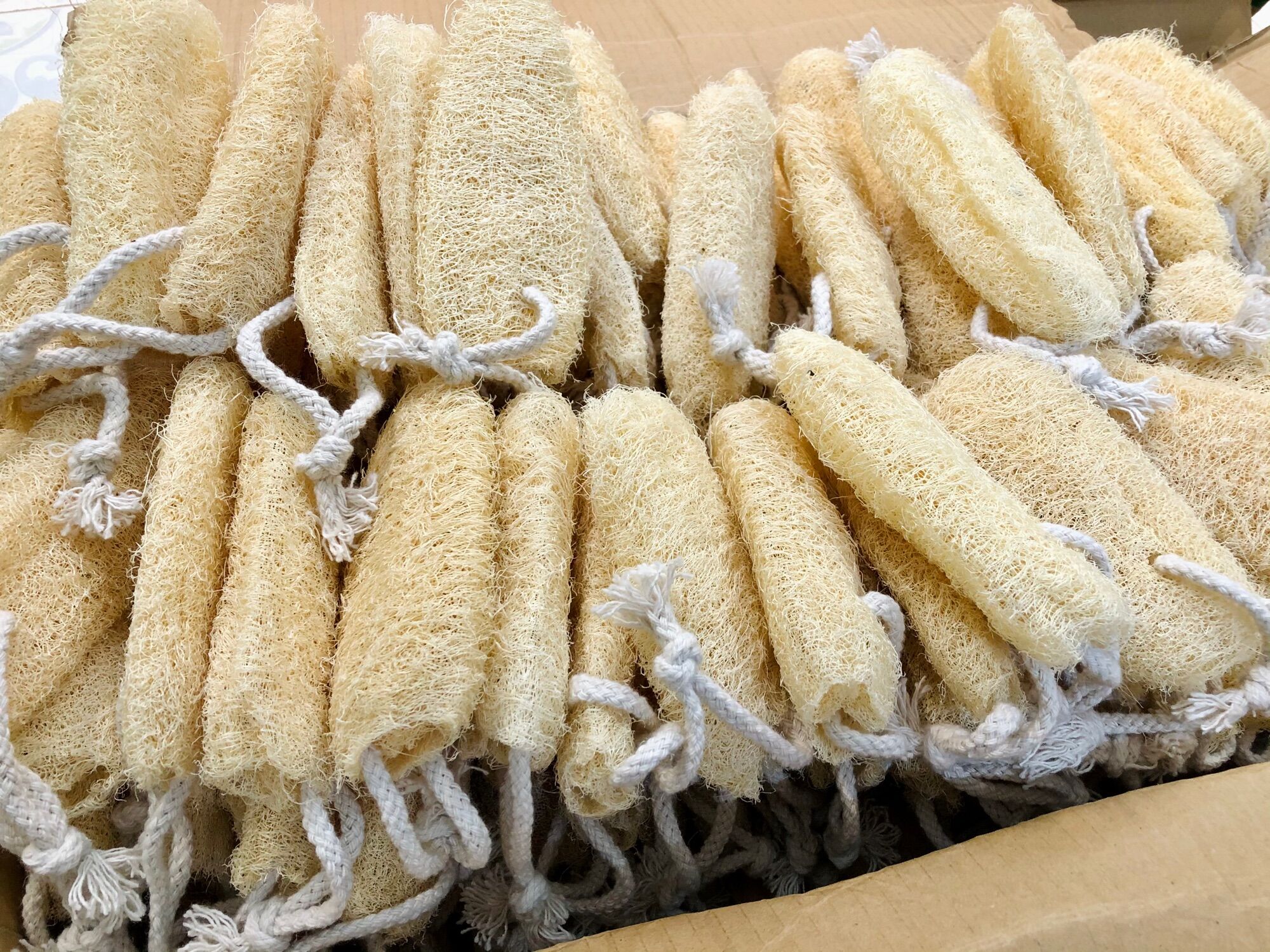 Bông tắm xơ mướp