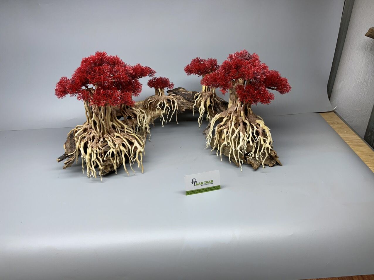Bộ lũa bonsai cho hồ cá, hồ thủy sinh