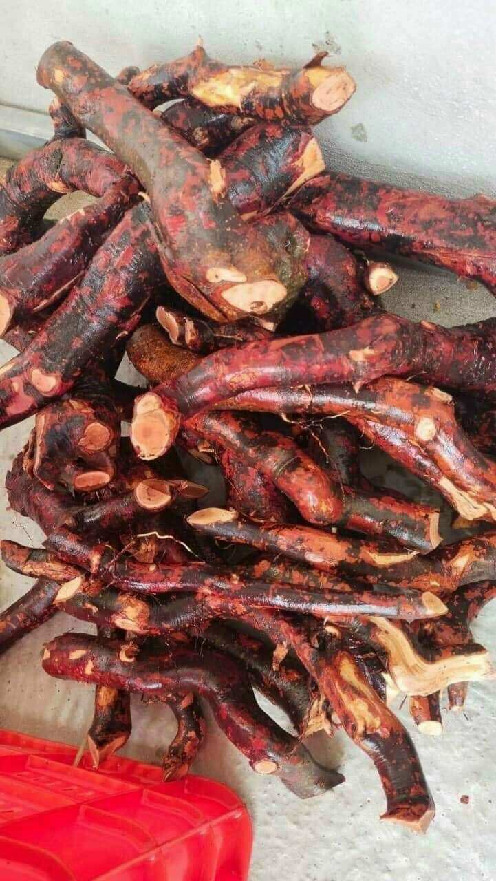 1KG RỄ MÚ TỪN KHÔ CHUẨN