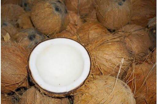 Dừa Khô bến tre trên 1kg