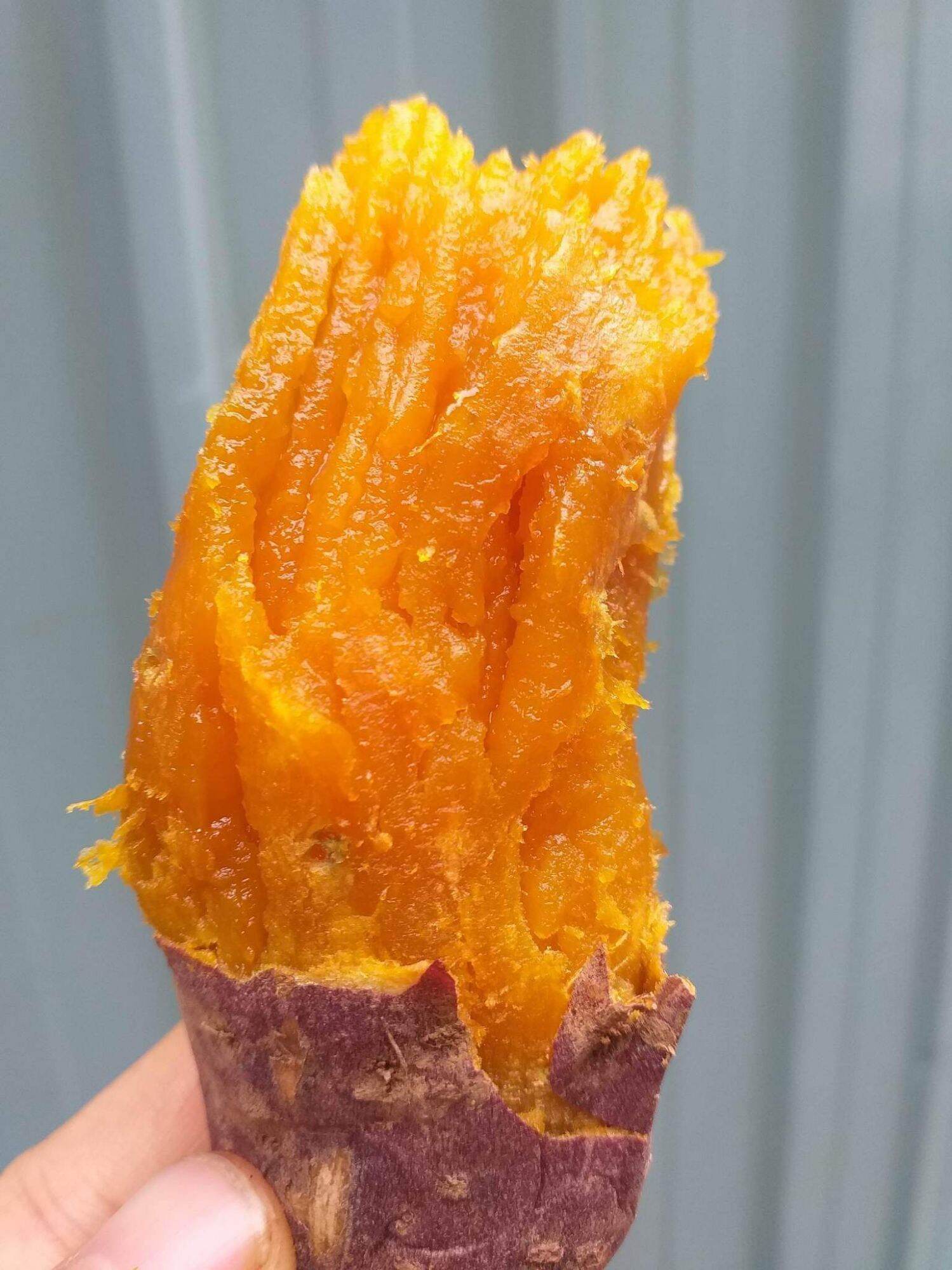 Khoai lang mật Tà Nung Đà Lạt