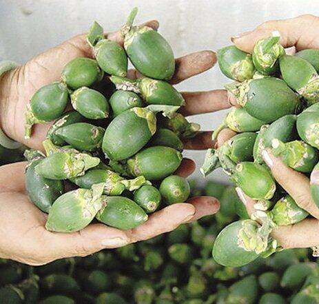 quả cau 500g