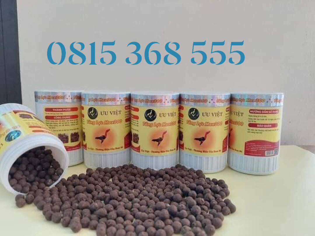 Thuốc tăng lực cho gà chọi, gà đá, gà chiến ưu việt