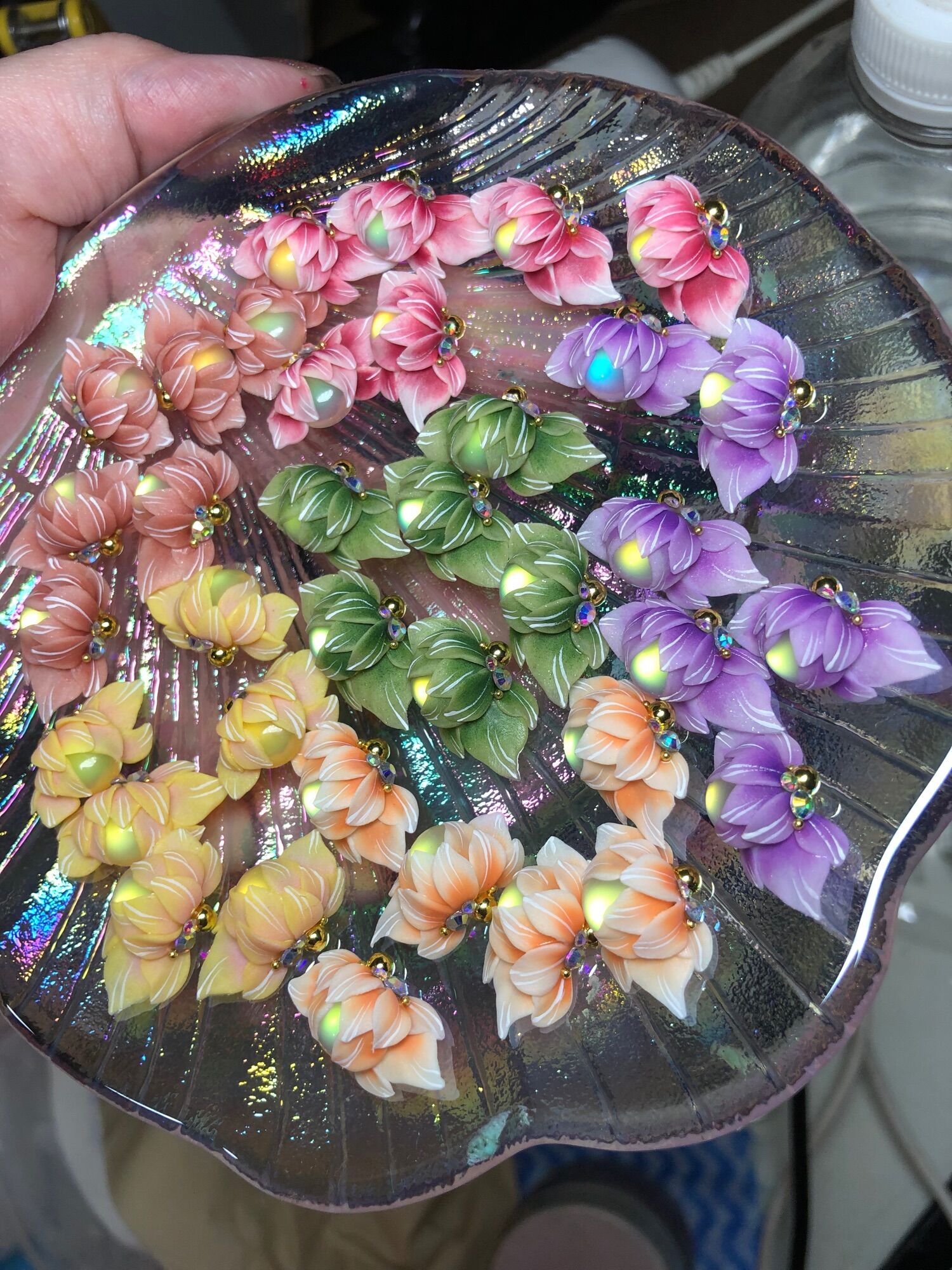 Hoa bột ôm móng - sen đá