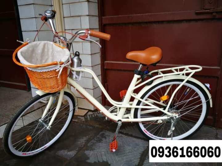 Xe đạp sallway queen khung thép - ảnh sản phẩm 1