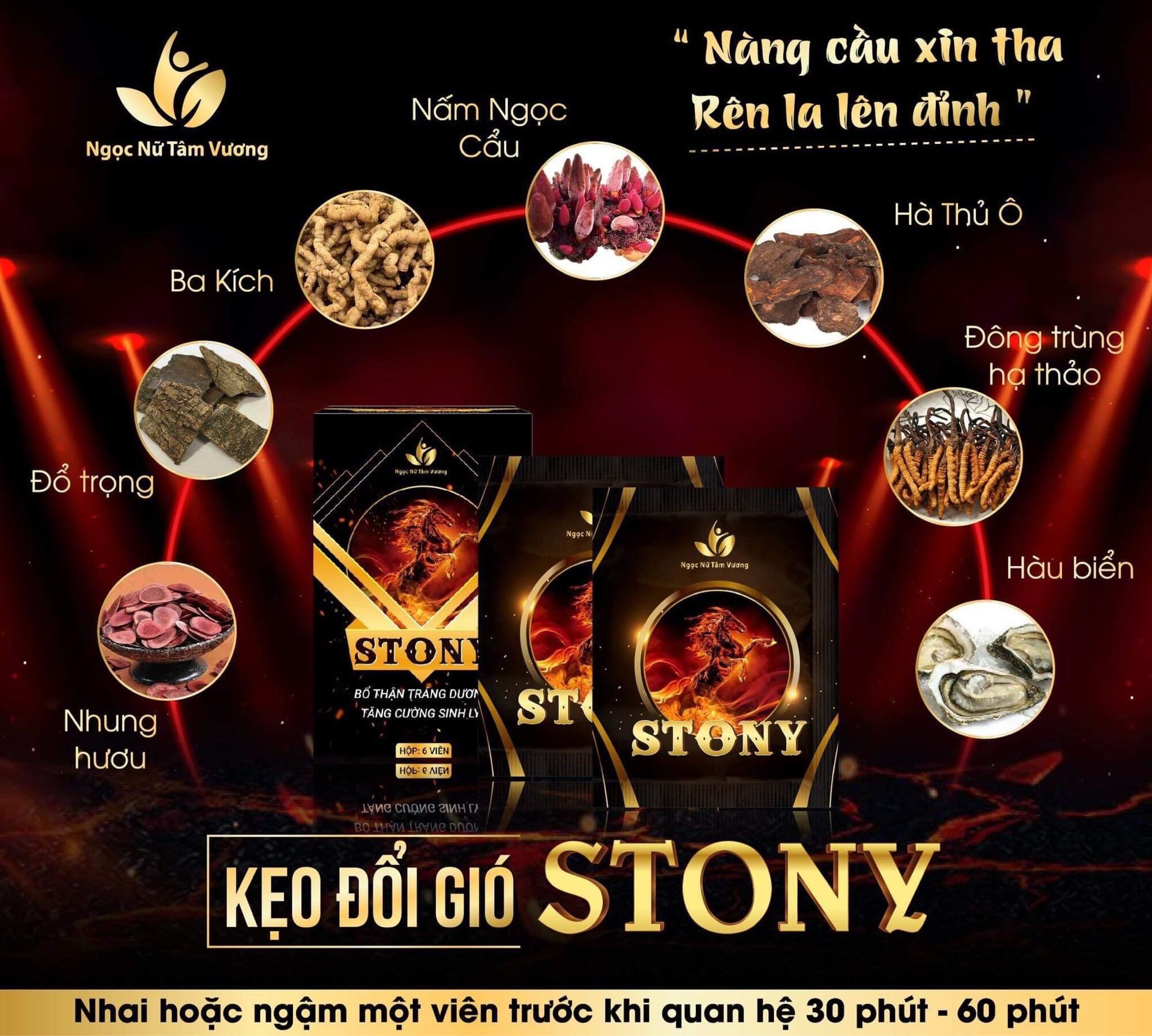 KẸO ĐỔI GIÓ STONY BỔ HOÀN DƯƠNG 8 Vien