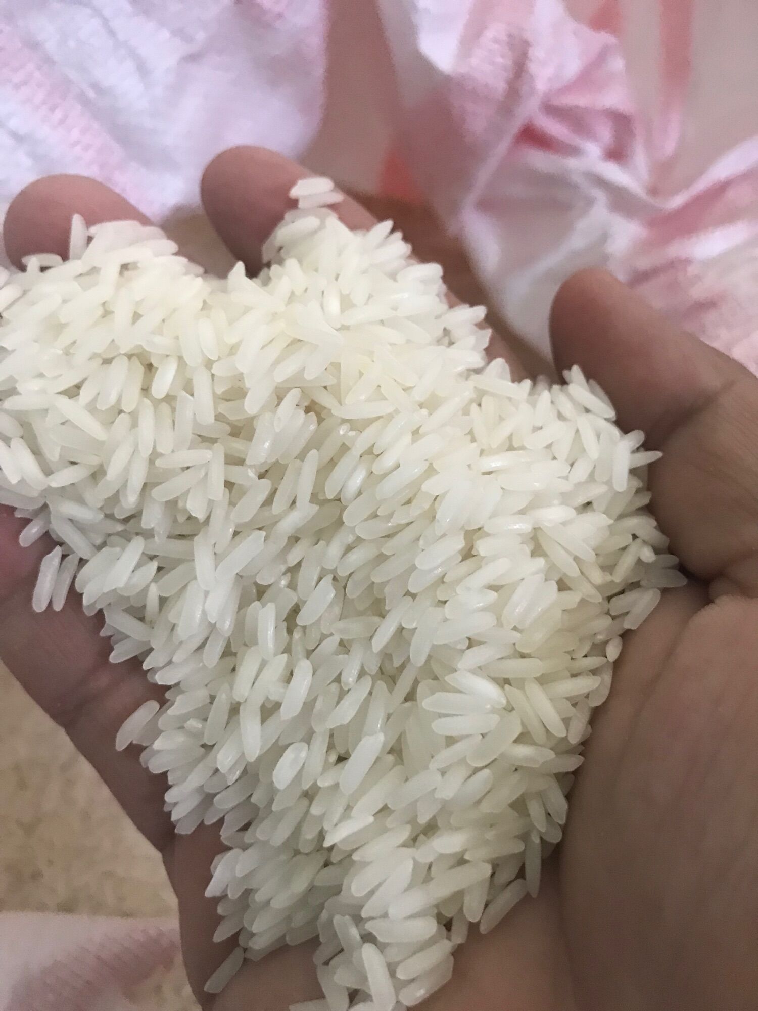 5kg Gạo Lài Thái Sữa Dẻo Mềm - Thơm nhẹ ( Đặc Sản Cao Cấp )