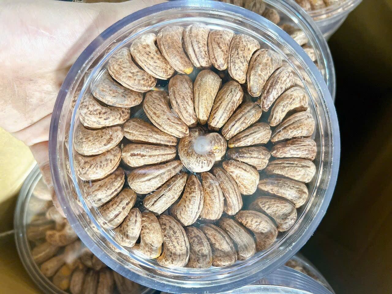 ĐIỀU XẾP MỖI NGÀY