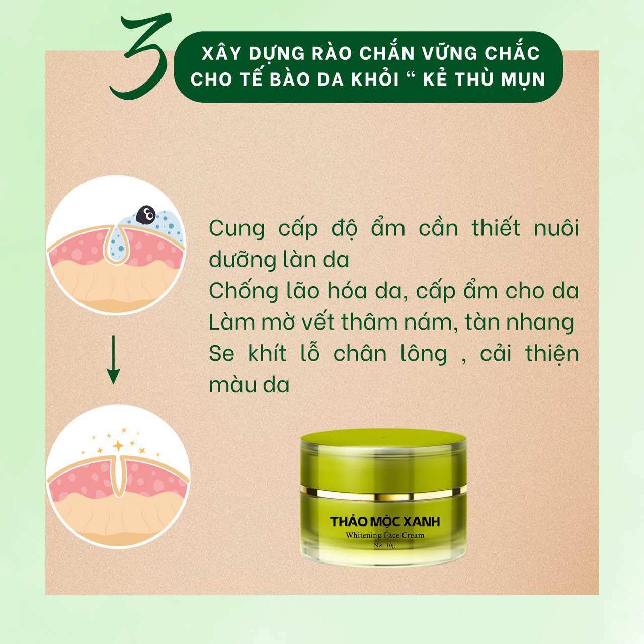 Combo Serum Thảo Mộc Xanh ( 1 SRM - 1 Serum Mụn - 1 Kem Face)