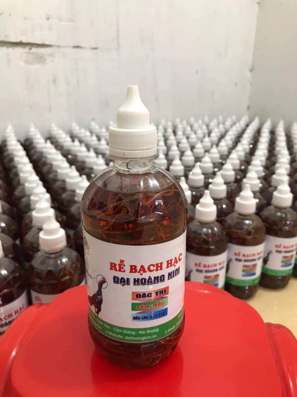 Rễ Bạch Hạc cho gà
