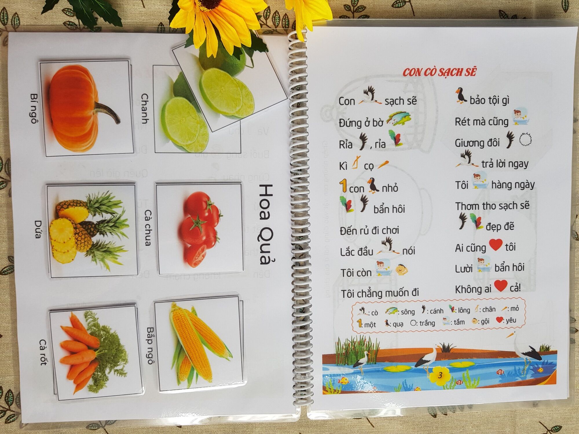 Học liệu bóc dán 2in1
