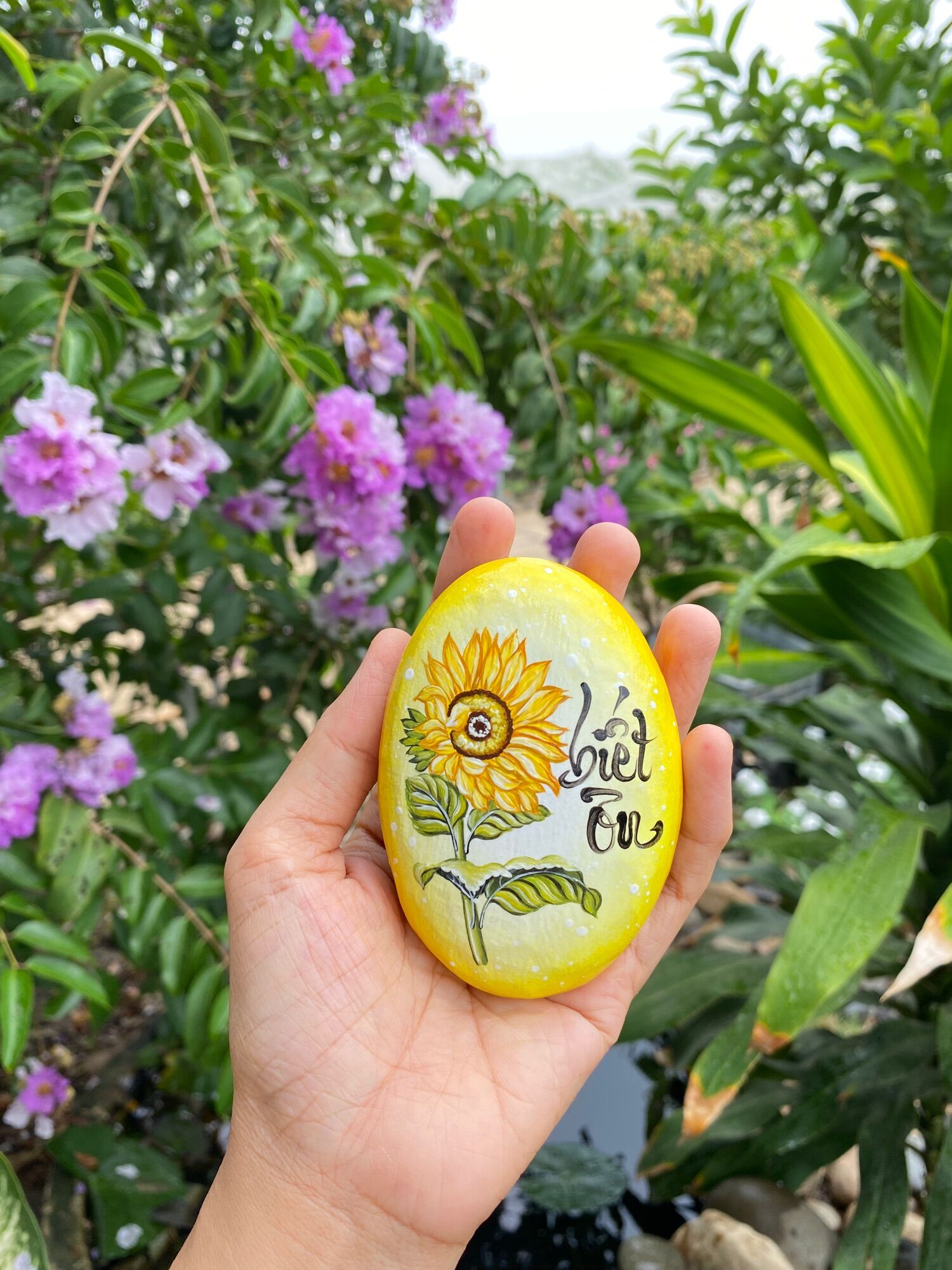 Hòn Đá biết ơn mẫu hoa hướng dương nền vàng