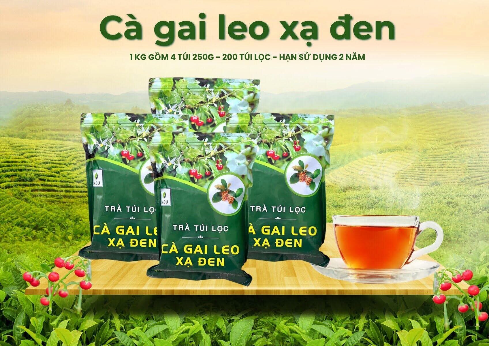 1KG TRÀ TÚI LỌC CÀ GAI LEO XẠ ĐEN SADU ( 4 GÓI 250 GAM )