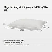 SNOWMAN | Gối Hỗ Trợ Cổ 3 Lớp Vải Cotton Bông Ép Ngỗng Trắng 95%