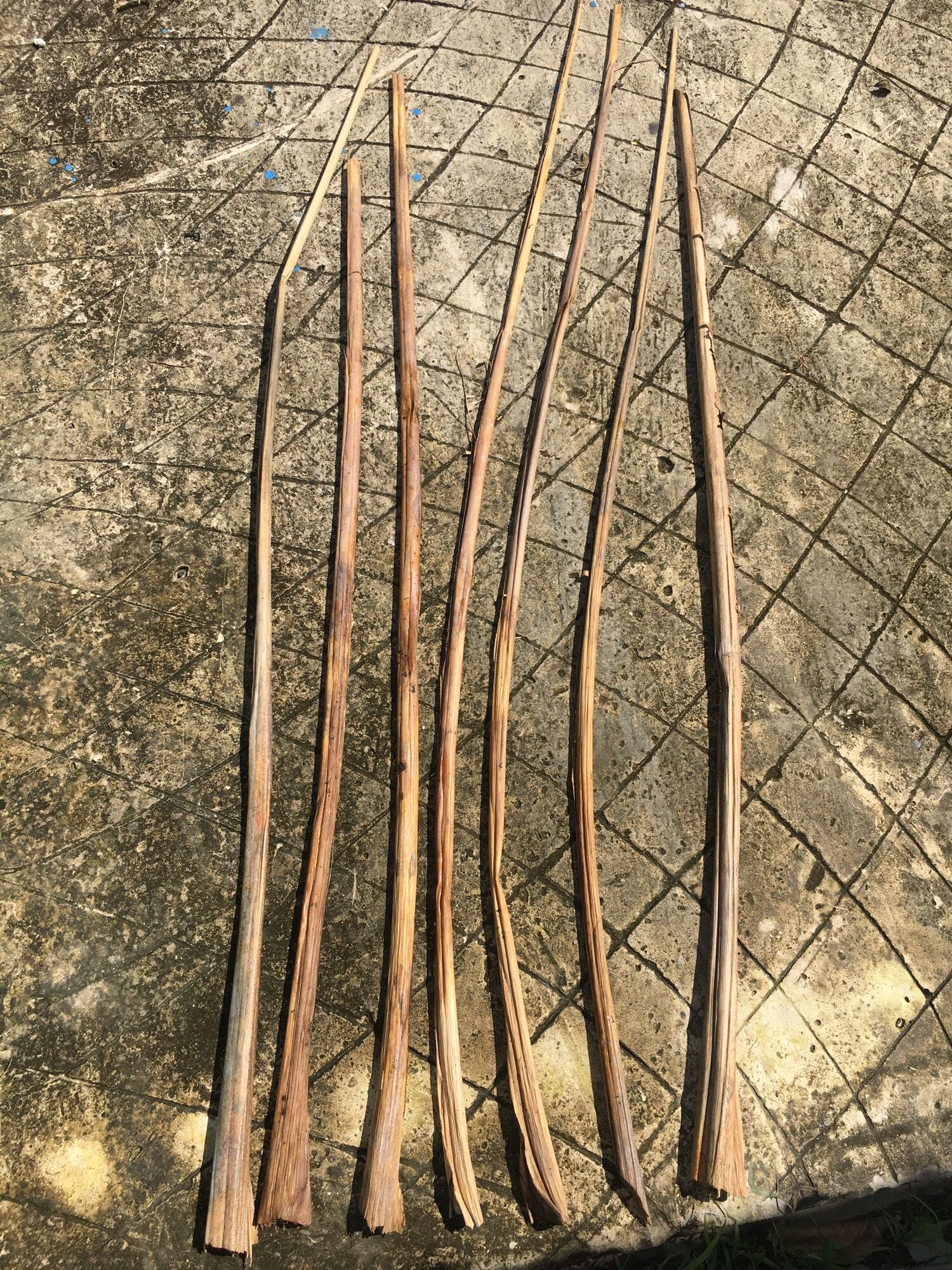 100gram dây chuối khô gói bánh tét bánh ú …..