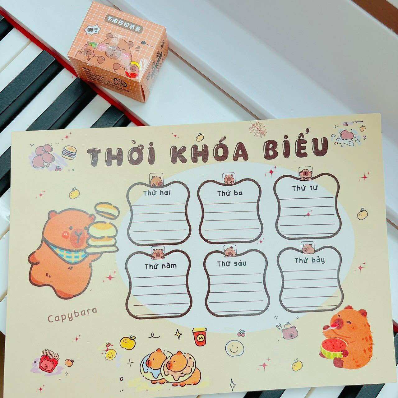 Set 3 tờ thời khoá biểu Capybara