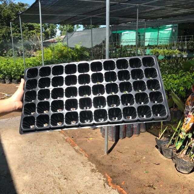 (Siêu bền chắc) Khay ươm hạt 32,50,72,105,200 lỗ