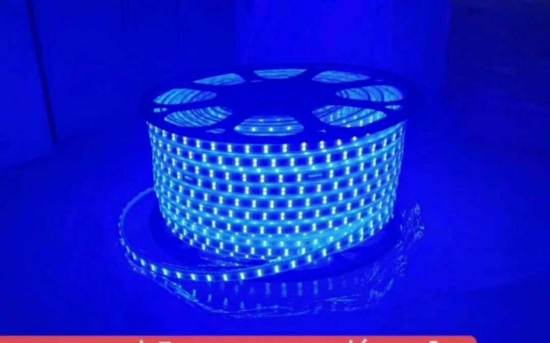 Dây led đôi 2835 siêu sáng chịu nước - 220v