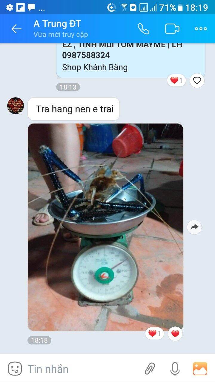 TINH MÙI CÂU TÔM FISHINGEZ 2021