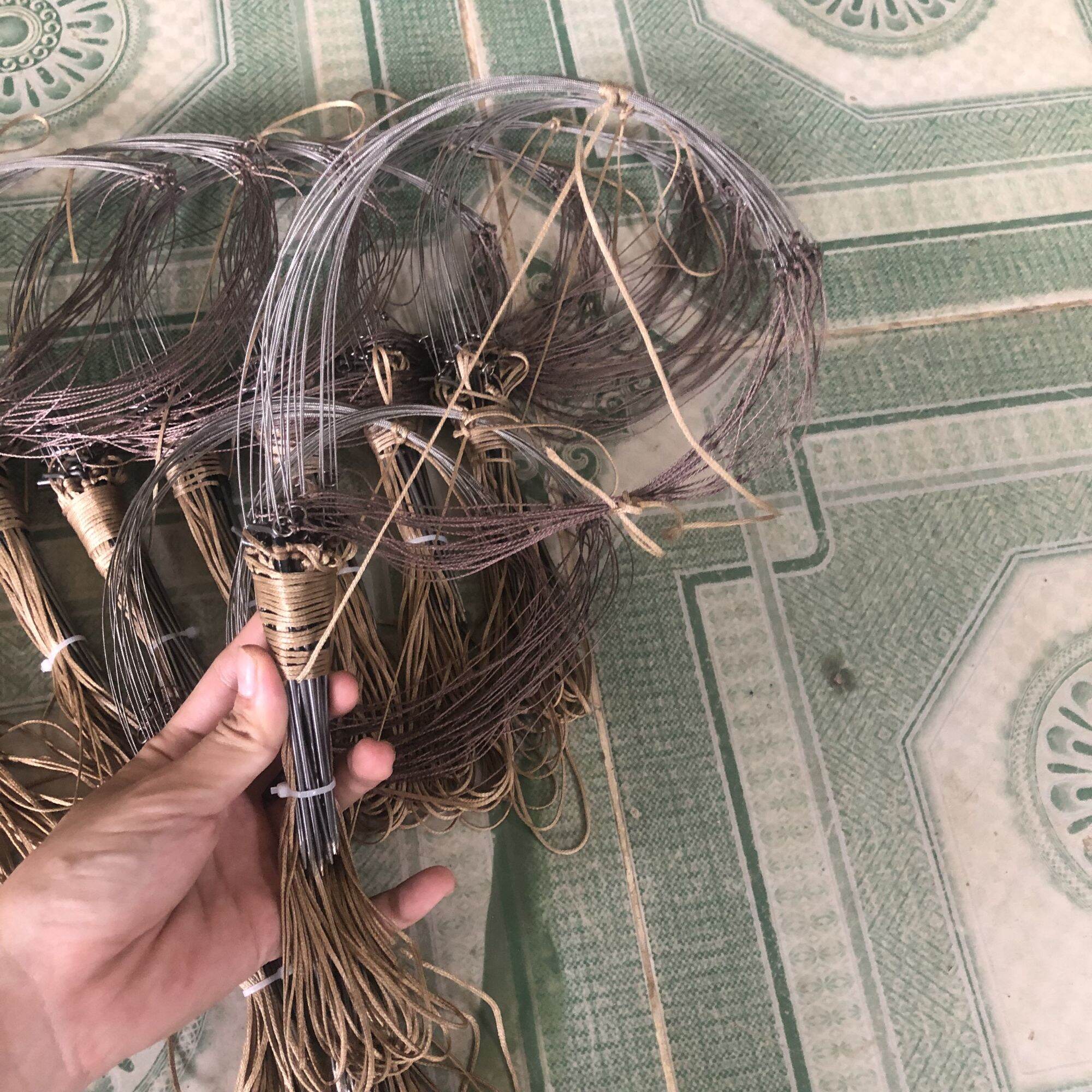 Giò bẫy gà rừng chân thép