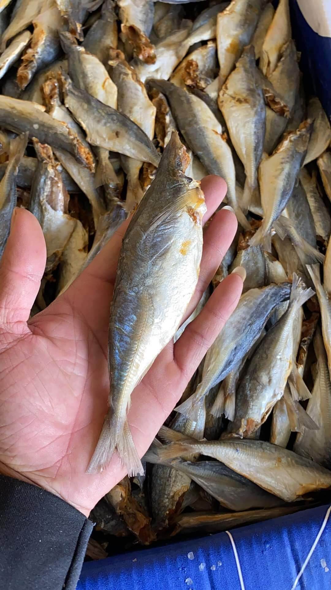 1kg Cá Nục khô VỪA ĂN