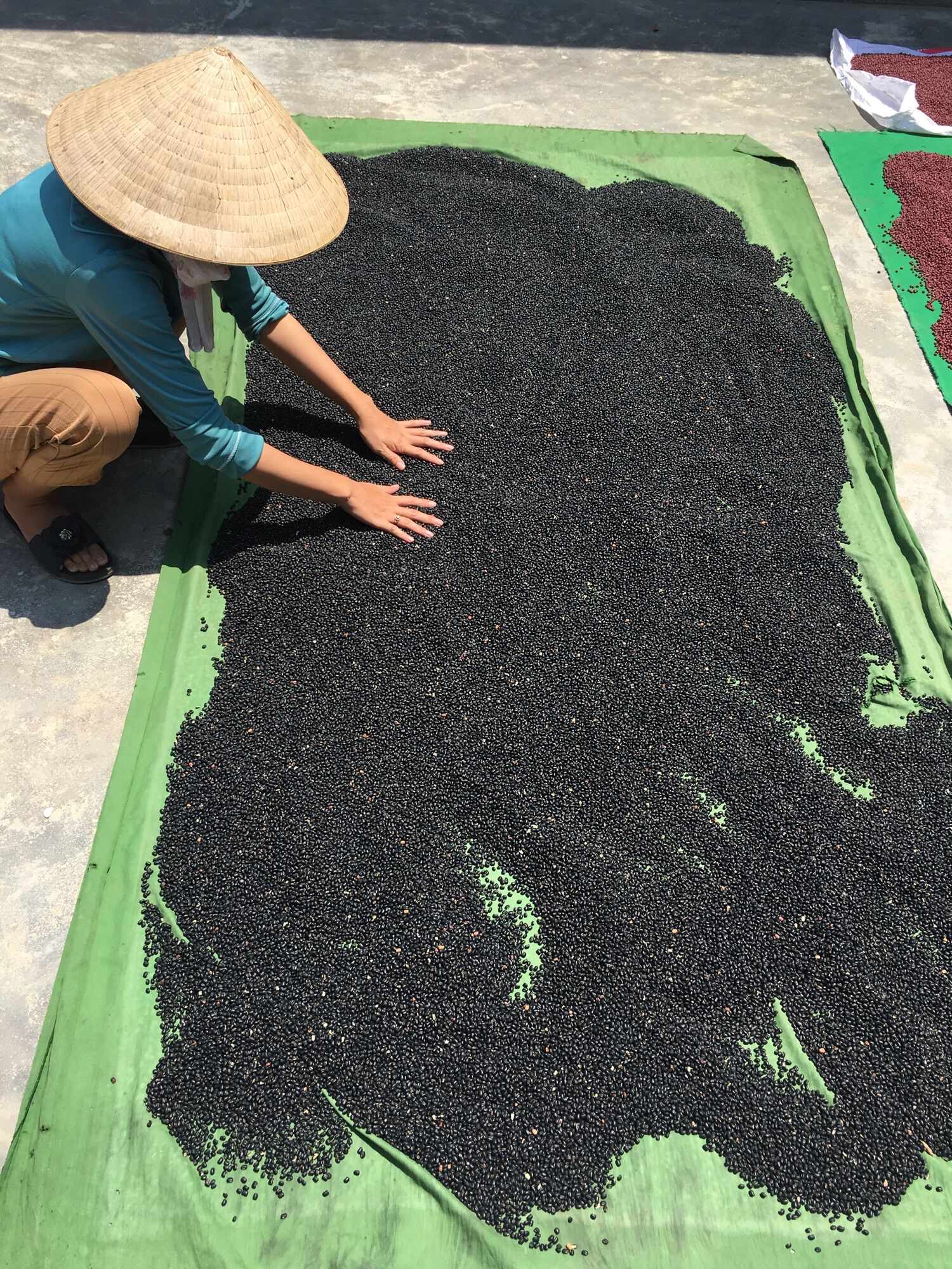 Đậu Đen Xanh Lòng Rang (1kg)
