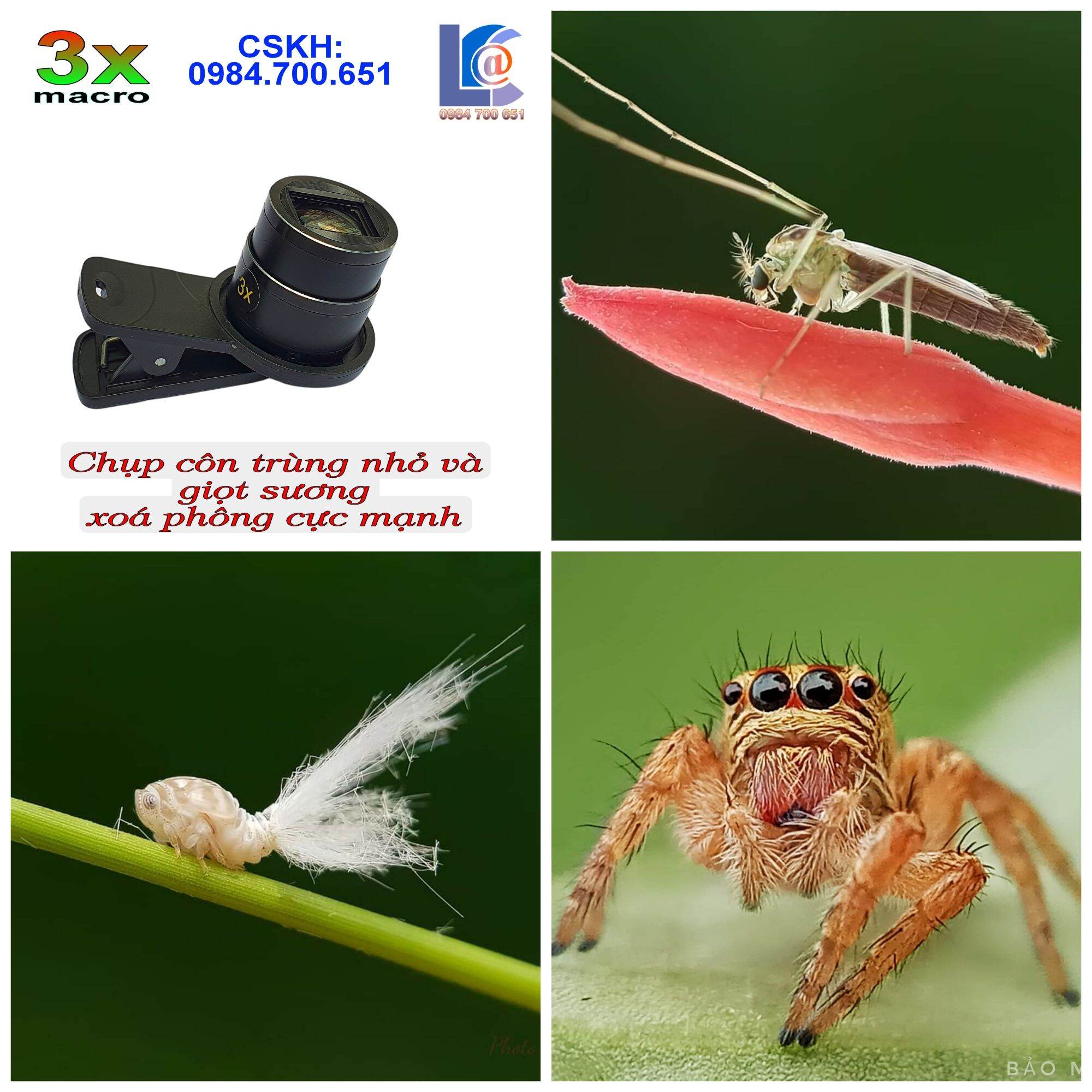 Lens macro, ống kính chụp côn trùng nhỏ, giọt sương