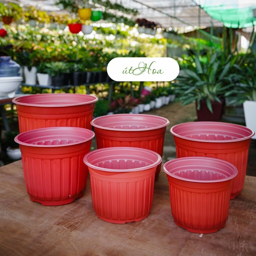Chậu nhựa nâu N15 (15x12.5cm)vành miệng cứng