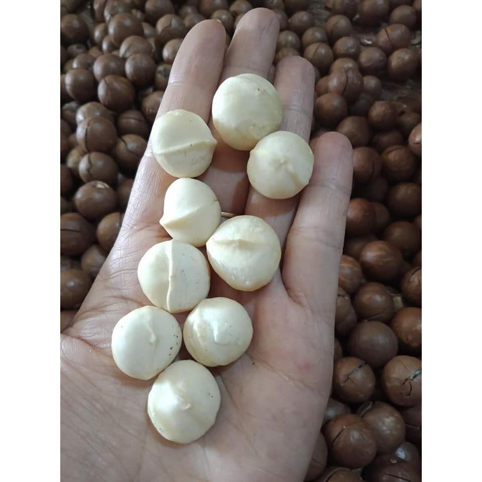 500g hạt mắc ca