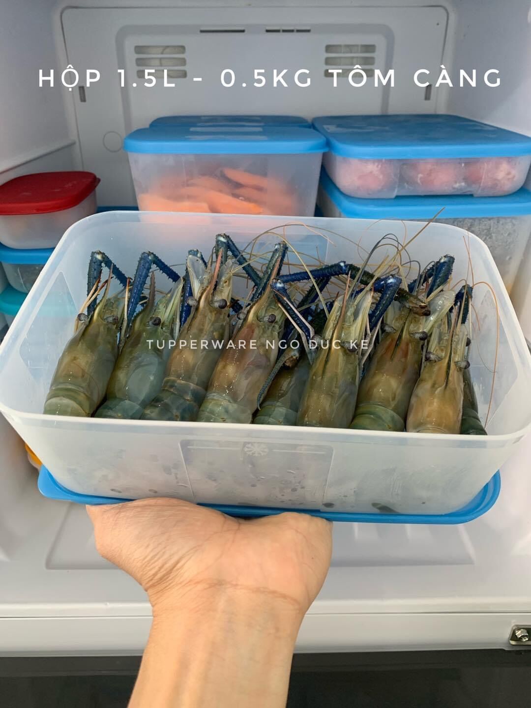 Hộp đông 1.5L Tupperware