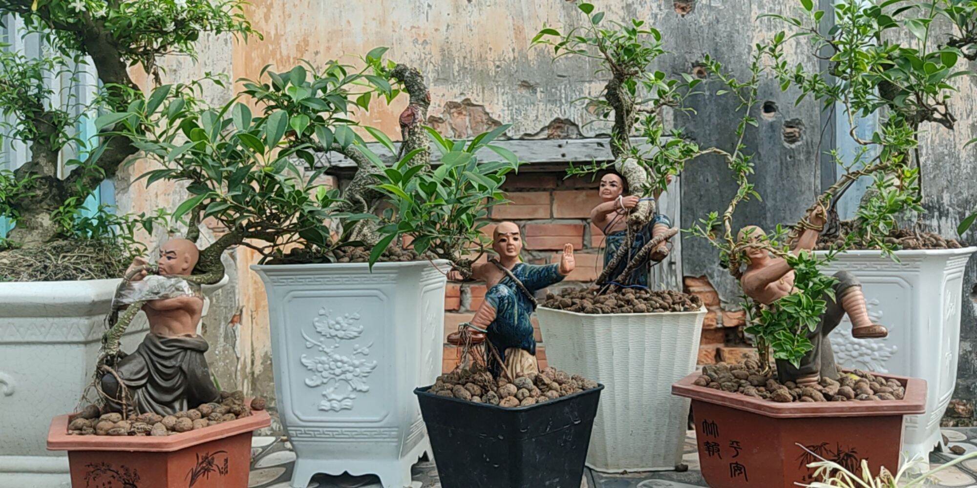 Chậu Bonsai cây gừa bông ôm tượng gốm sứ đánh võ