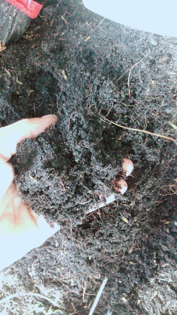 Đất Trồng Cây Cảnh,Trồng Rau Củ