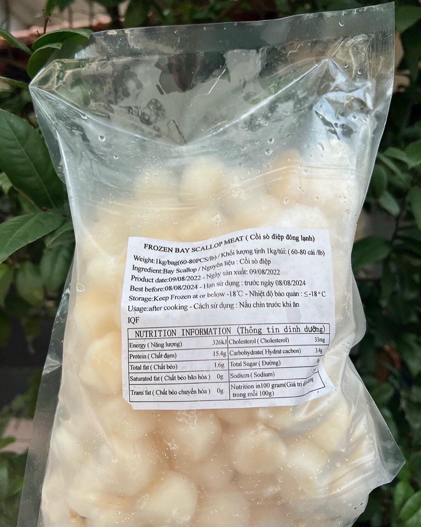 [HCM] CÒI SÒ ĐIỆP 500GR NET 7