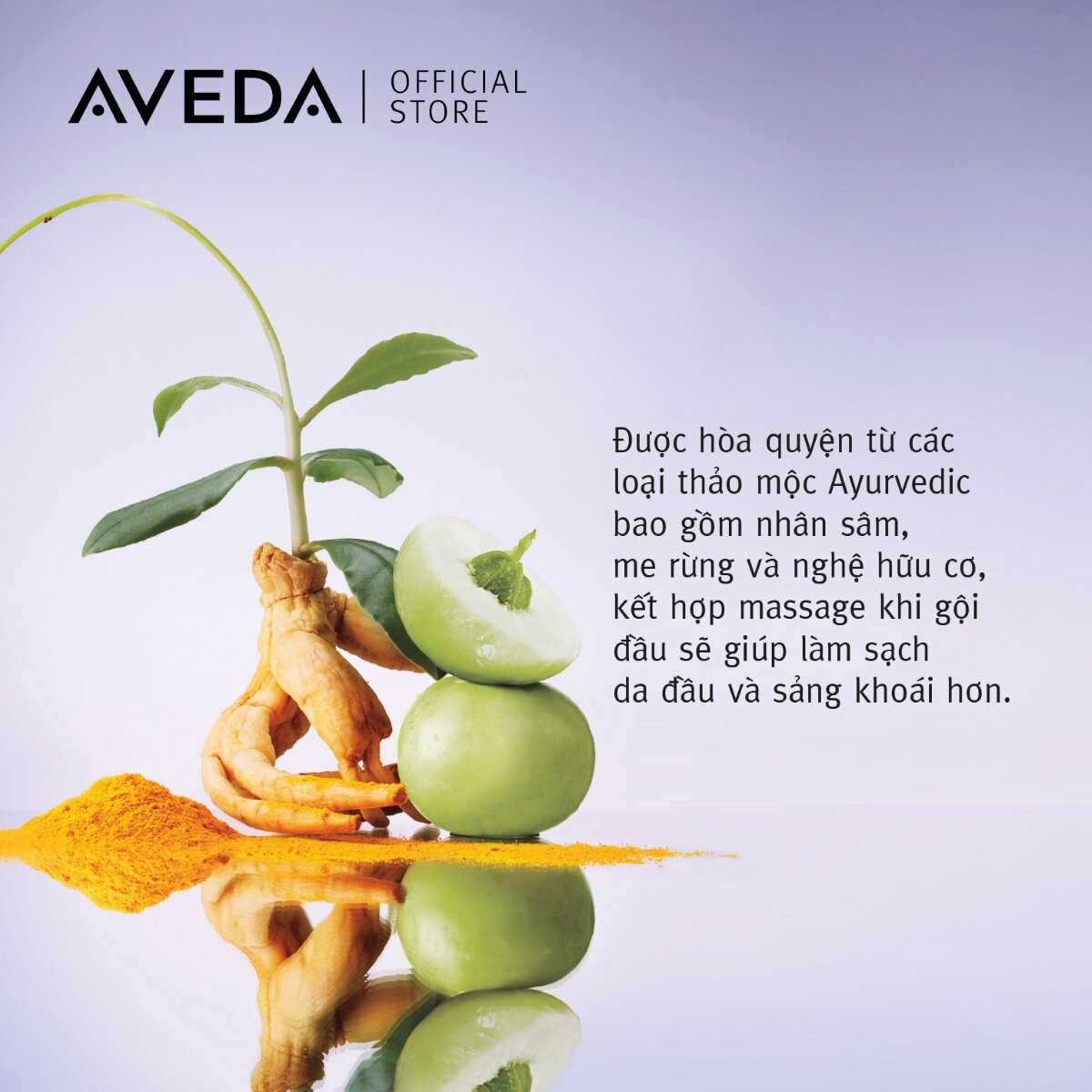 [HSD: 8.25][GIẢM 50%] Bọt tạo kiểu Aveda Invati Advanced™ Thickening Foam  150ML