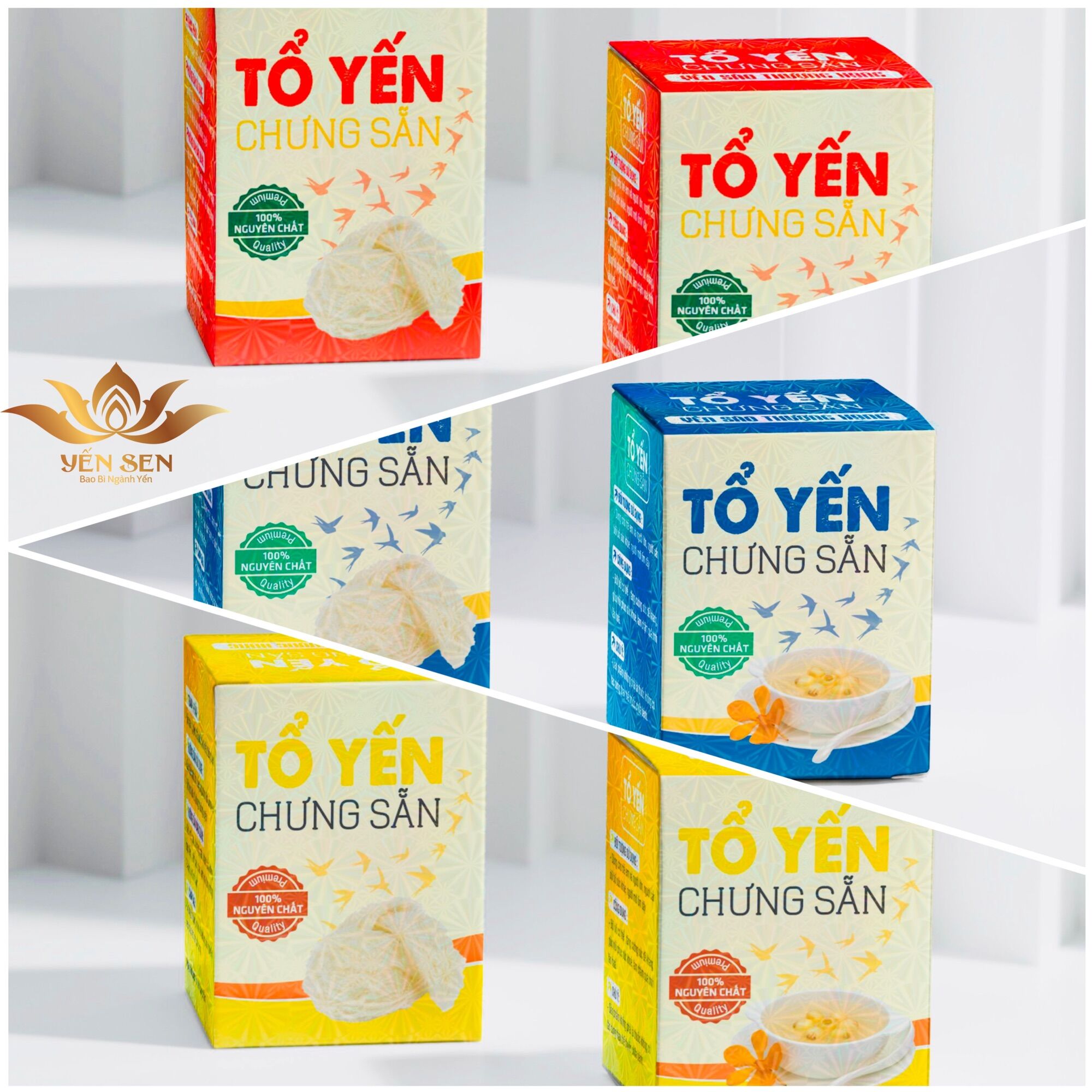 Combo hộp 1 hủ yến