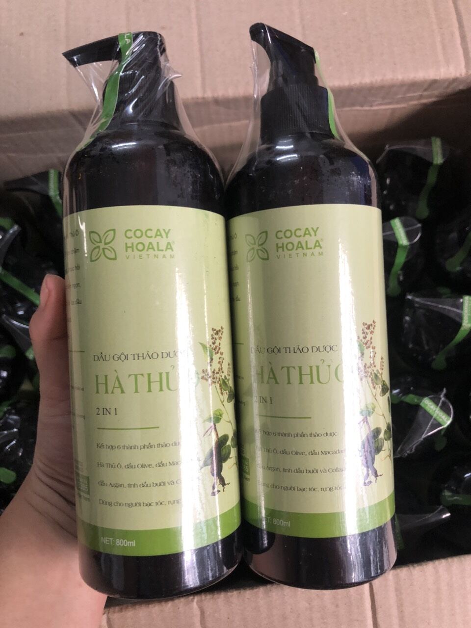 Dầu gội thảo dược hà thủ ô chai 800ml
