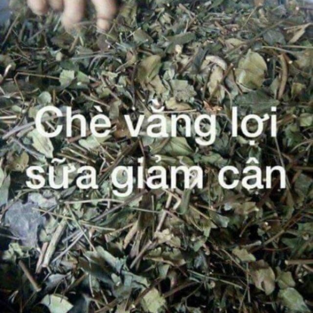 1kg chè vằng sẻ Nghệ An