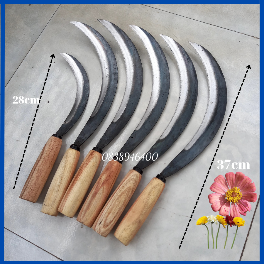 Liềm cắt cỏ gặt lúa cắt rau có răng chấu rèn thủ công sắc bén