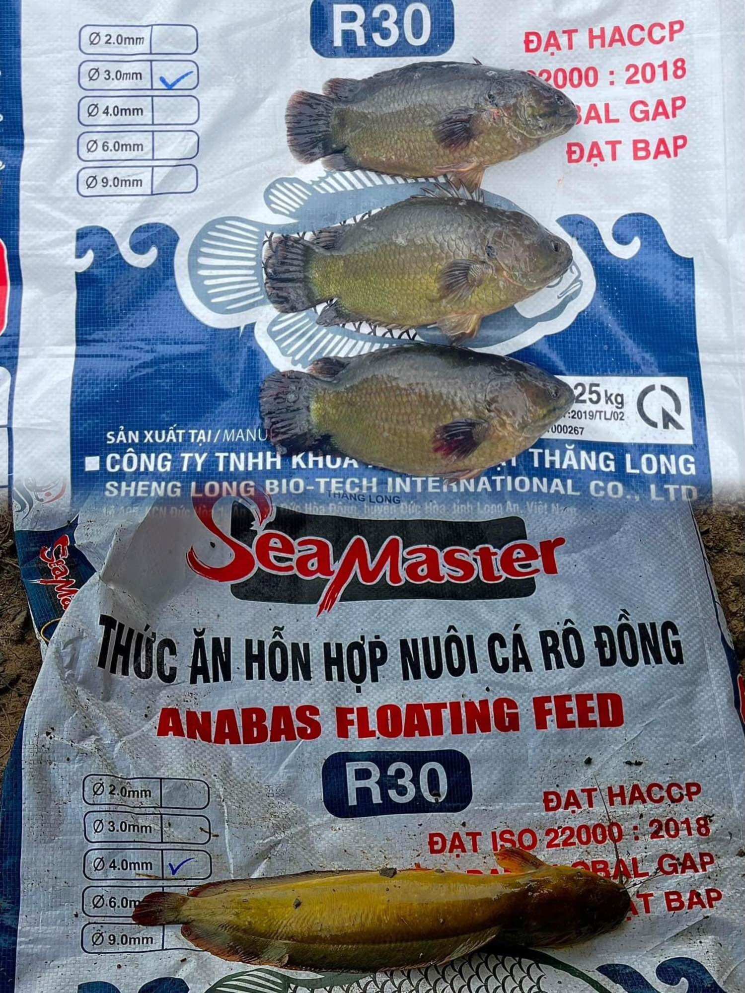 Cám câu rô đồng, trê vàng. gói 500 gam