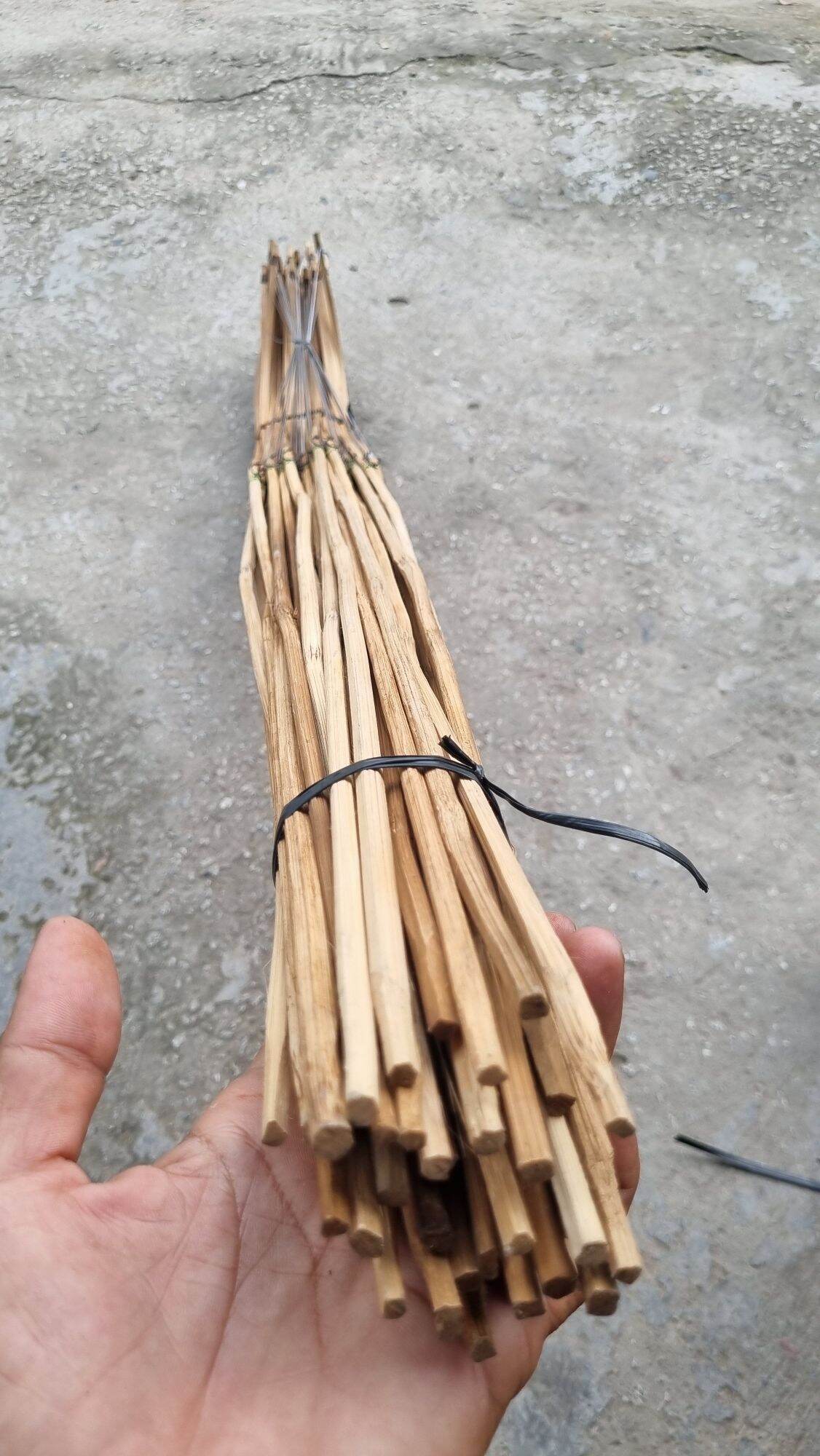 CẦN CÂU CẮM CÁ LÓC 50 CẦN TÓM SẴN