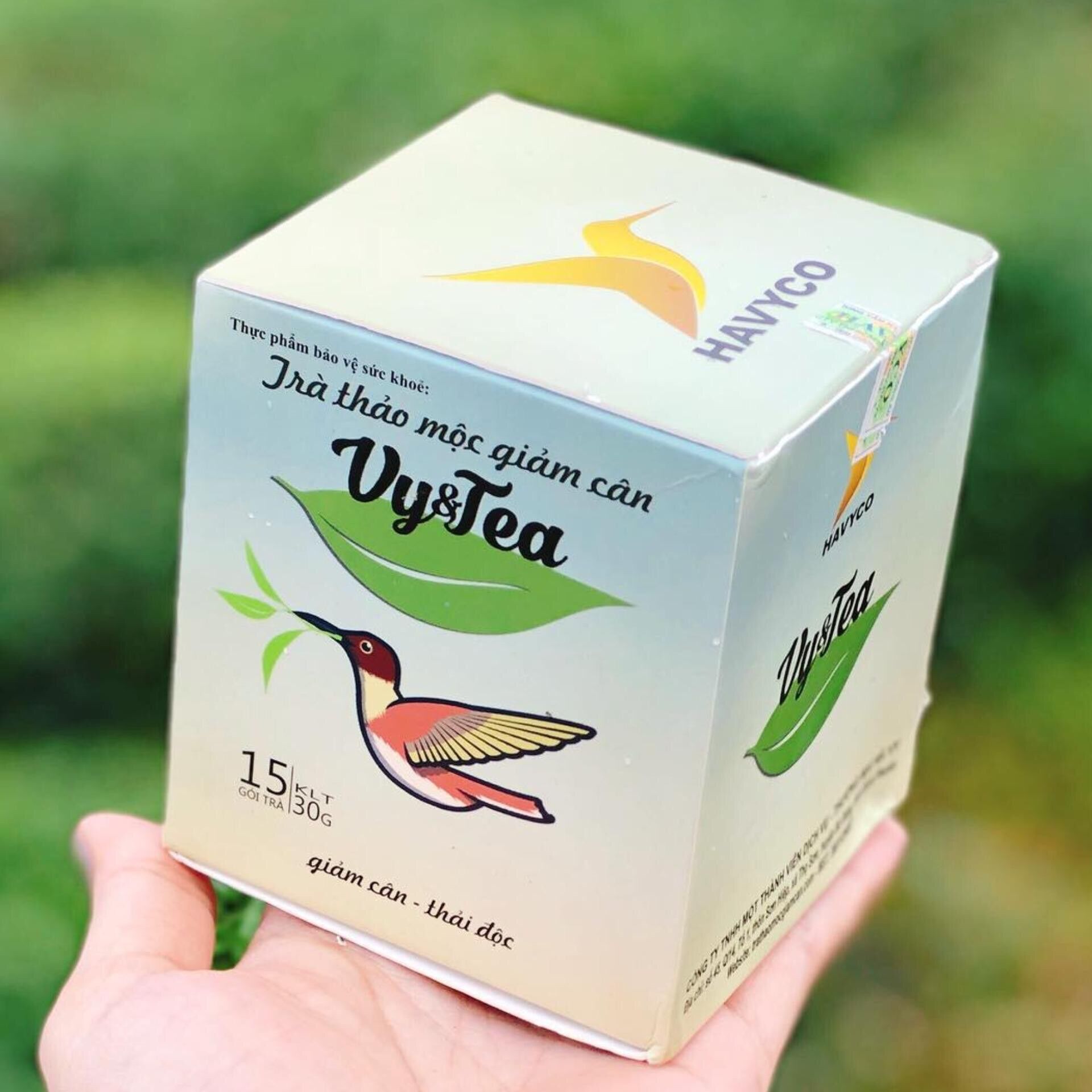 Tra thao moc vy-tea