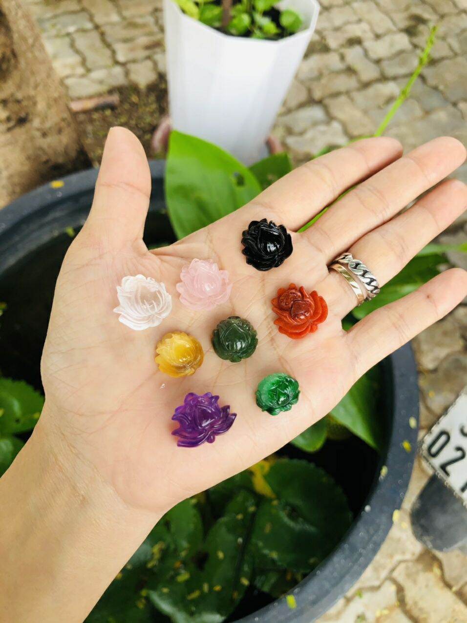 Hoa sen đá thạch anh
