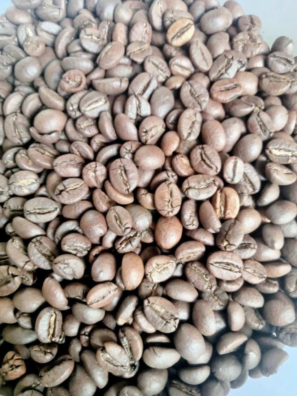 Combo 5kg cà phê Culi robusta