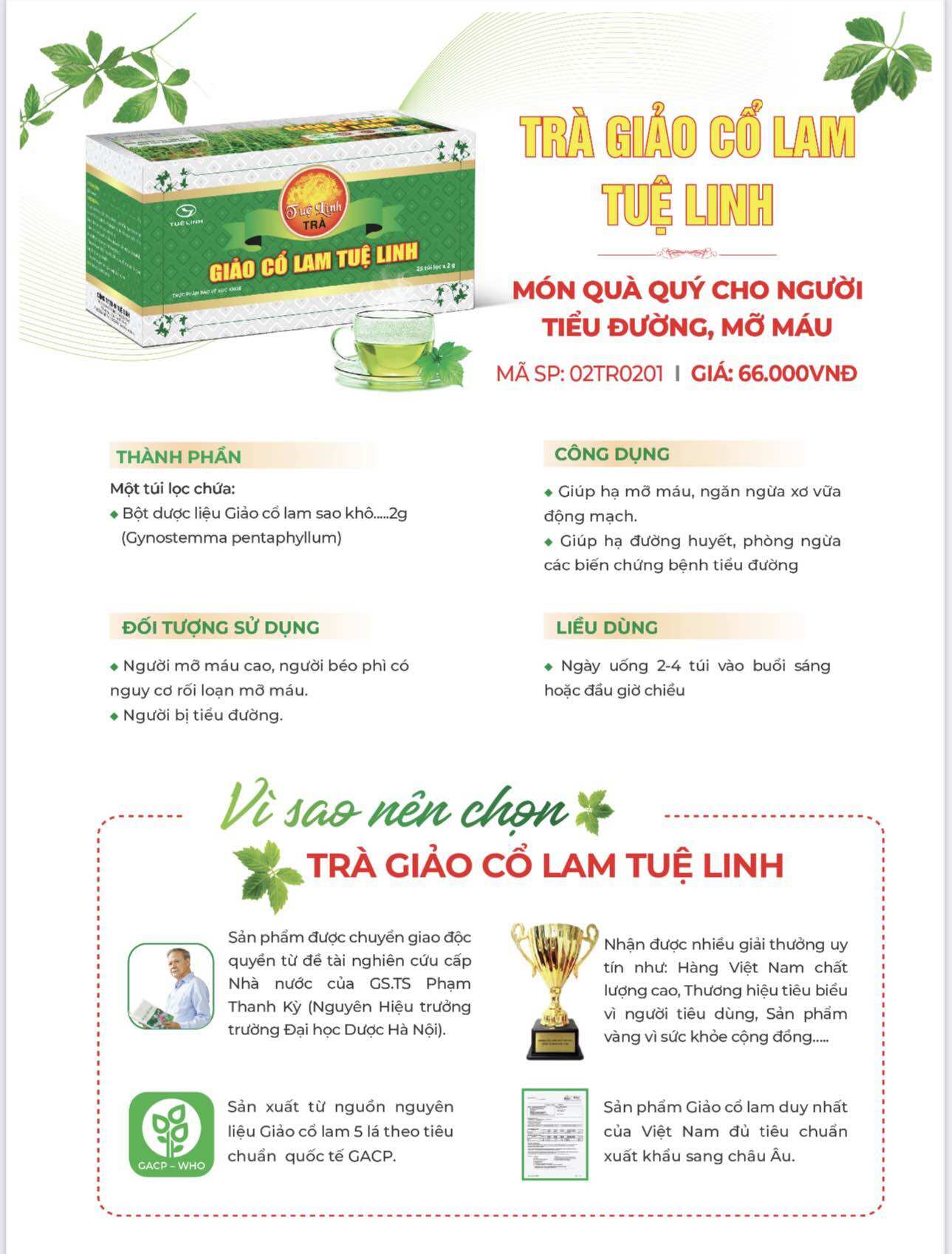 GIẢO CỔ LAM TRÀ 2gram TUỆ LINH (hộp 25 túi lọc)