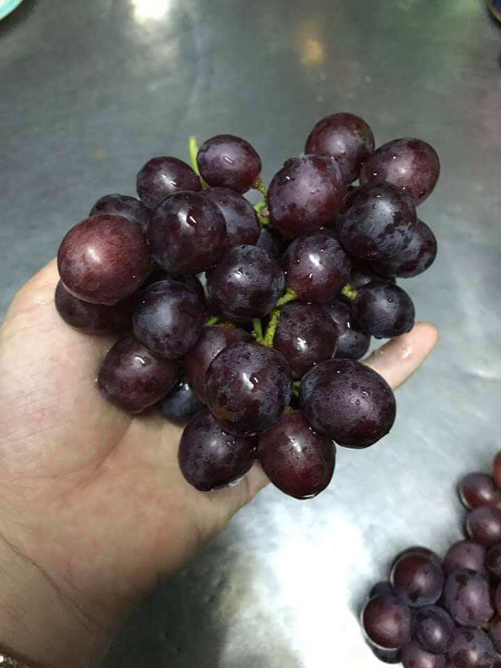 Mật Nho Phan Rang, chai nhựa 750ml
