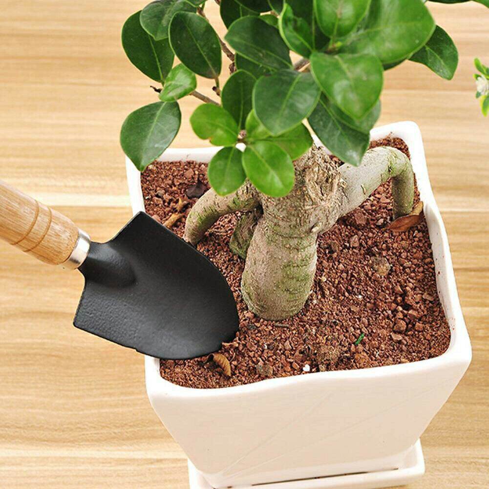 (Size M) Bộ 3 Cuốc Xẻng Cán Gỗ Làm Vườn