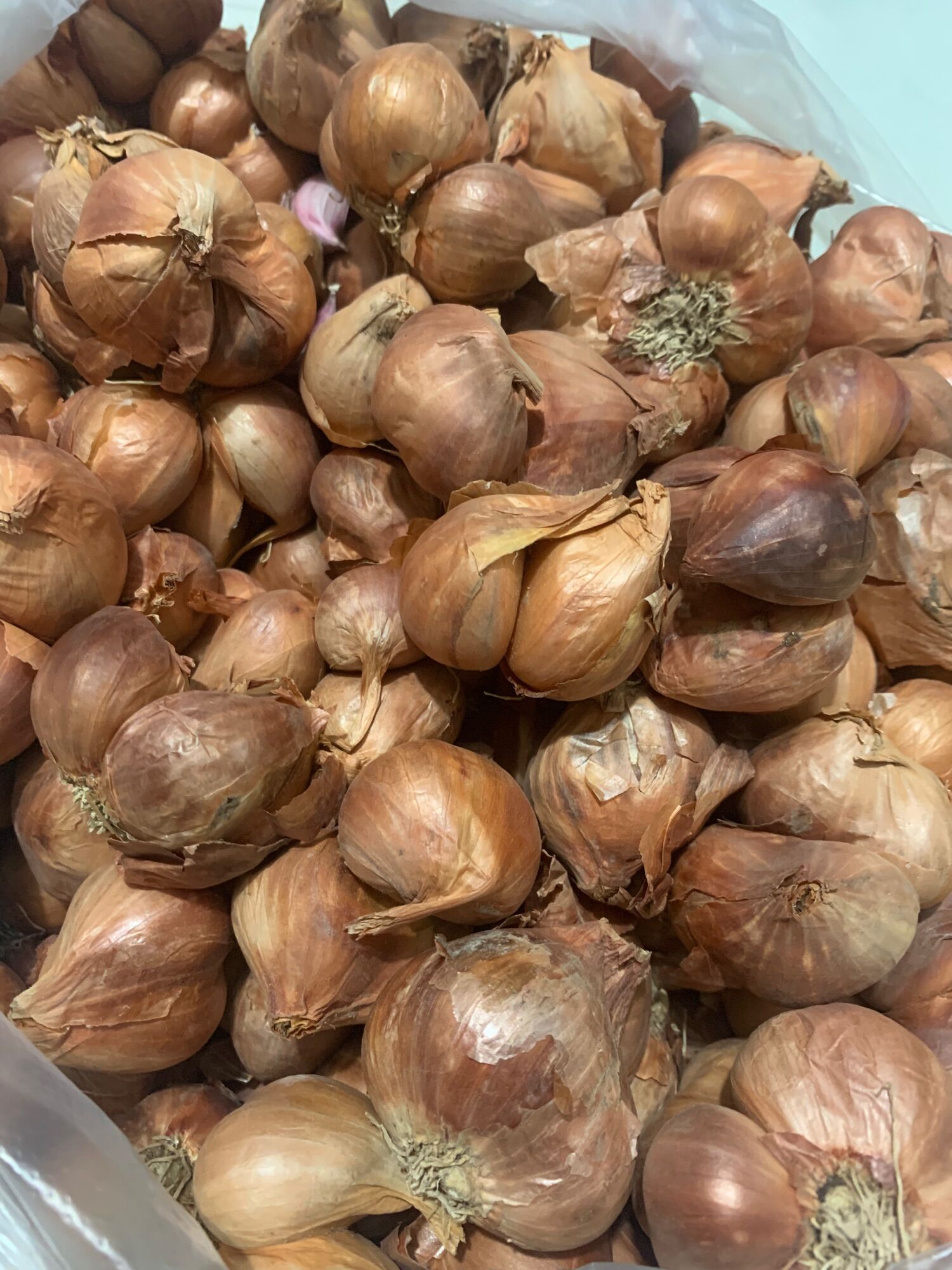 [hcm] 500g hành củ Bắc