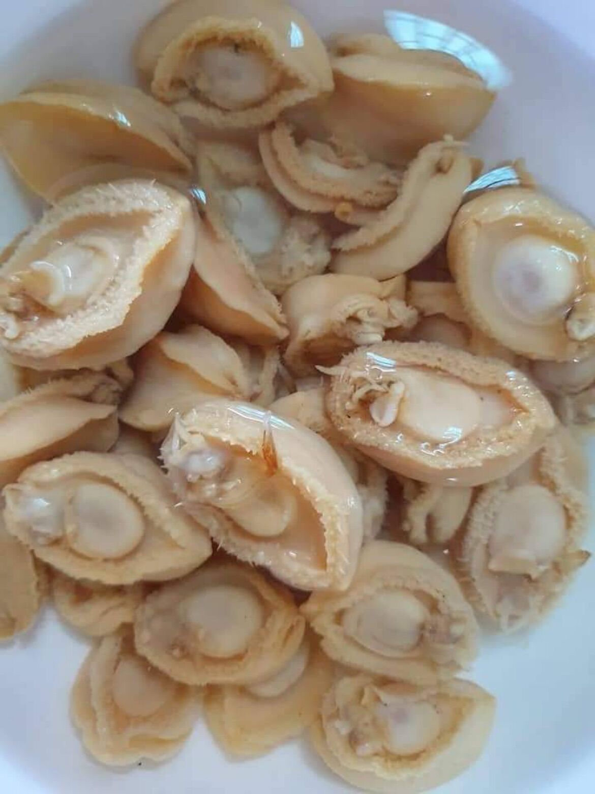 Bào Ngư Khô mini 100g